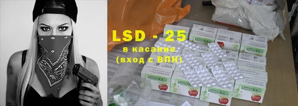 гашик Корсаков