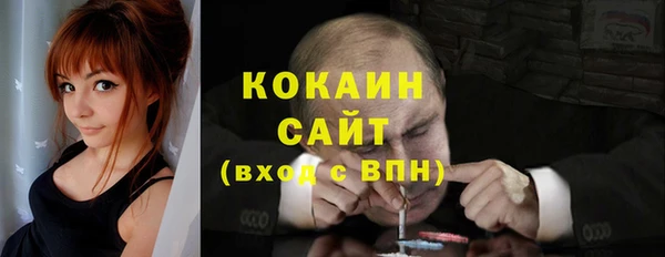 гашик Корсаков