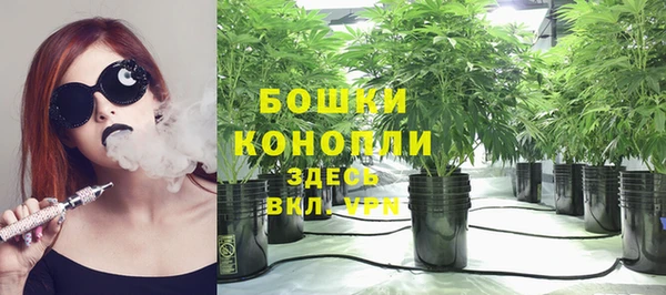 гашик Корсаков