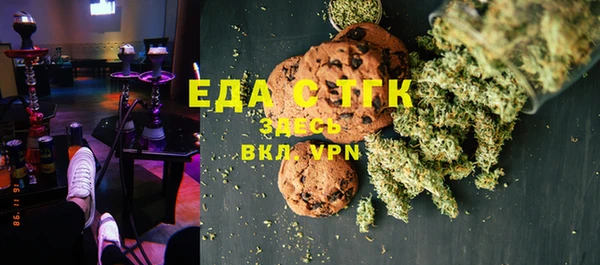 гашик Корсаков