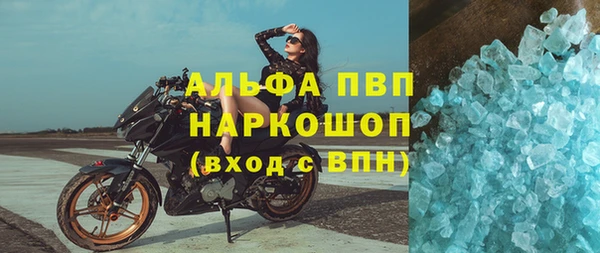 гашик Корсаков