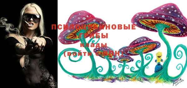 амф Костерёво