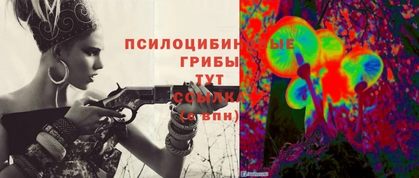 гашик Корсаков