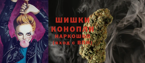 амф Костерёво