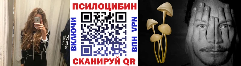 Купить  Дальнегорск  Псилоцибиновые грибы ЛСД 